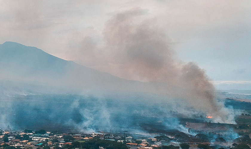 Give to Those Impacted by the Maui Fires